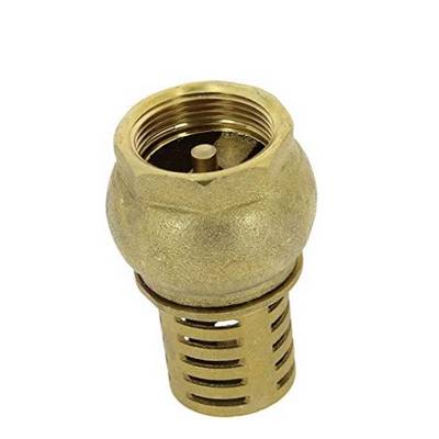 Crépine laiton clapet